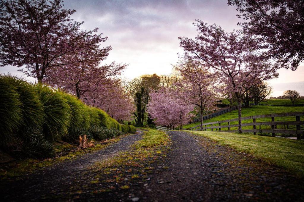 Photo of Others in Wharepapa South