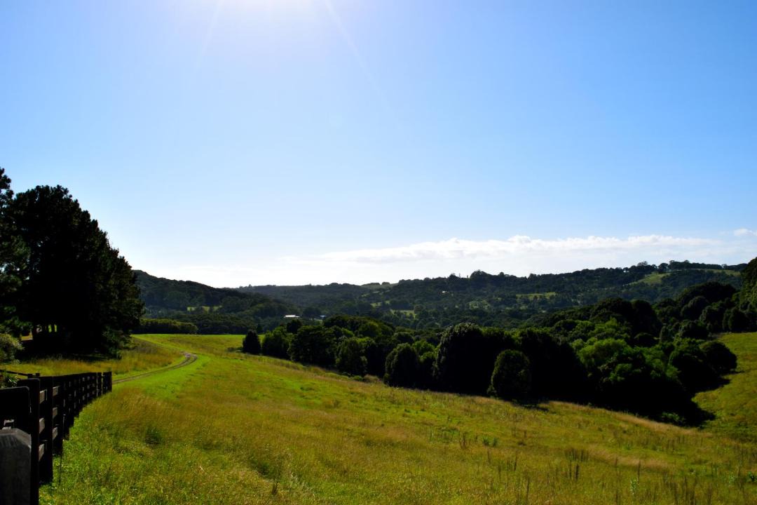 Photo of Others in Federal