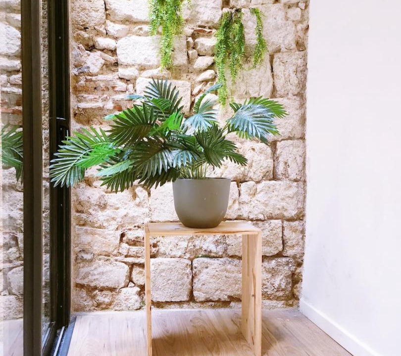 Photo of Others in Auch