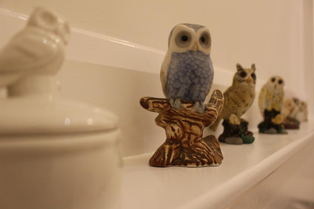 Photo of Others in Kingswear