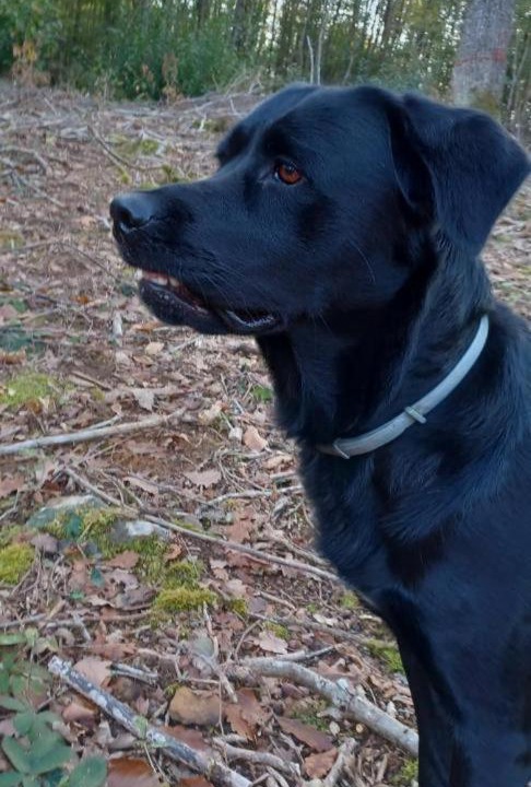 Photo of Others in Champagne-Saint-Hilaire