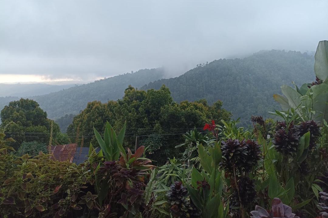 Photo of Others in Munduk