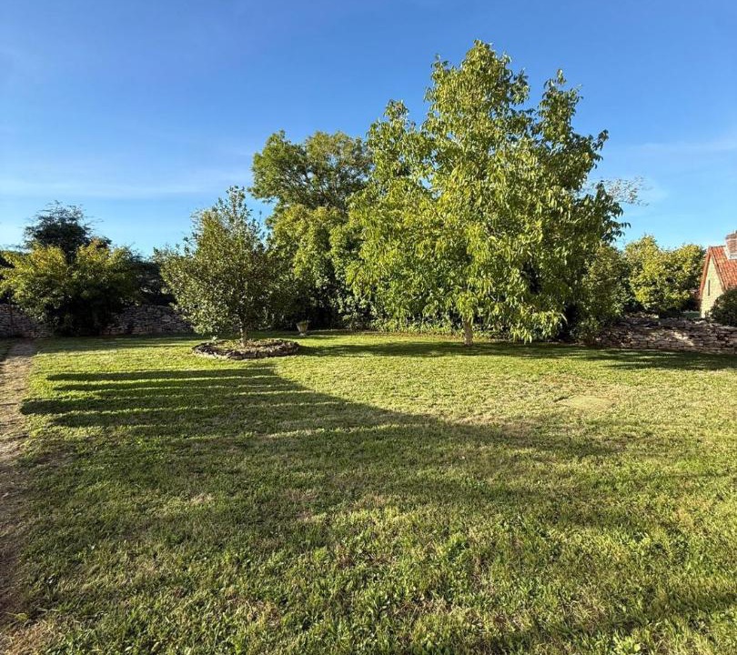 Photo of Others in Chailly-sur-Armancon