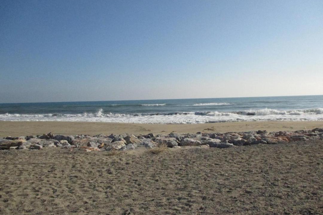 Photo of Others in Leucate