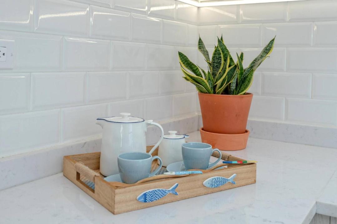 Photo of Others in Palmar de Ocoa