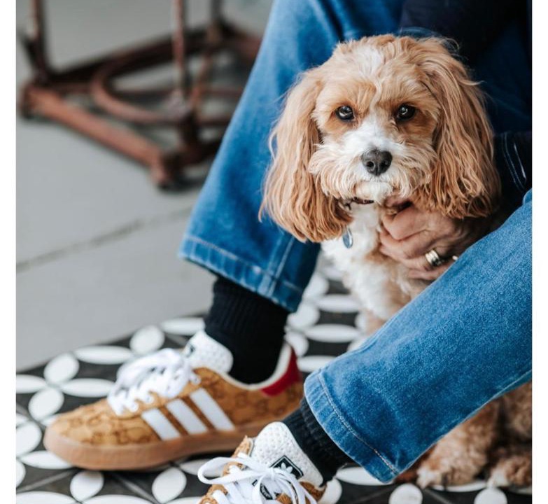 Photo of Others in Bathurst