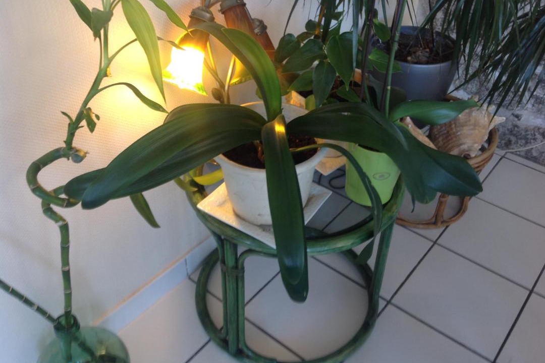 Photo of Others in Flamanville