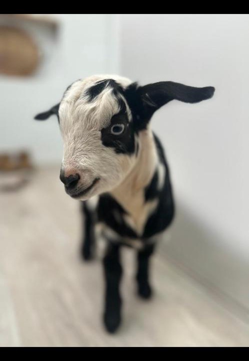 Photo of Others in Talunga