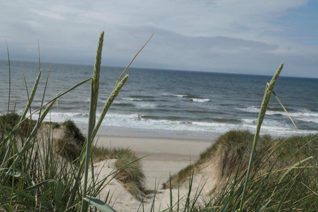 Photo of Others in Klegod Strand