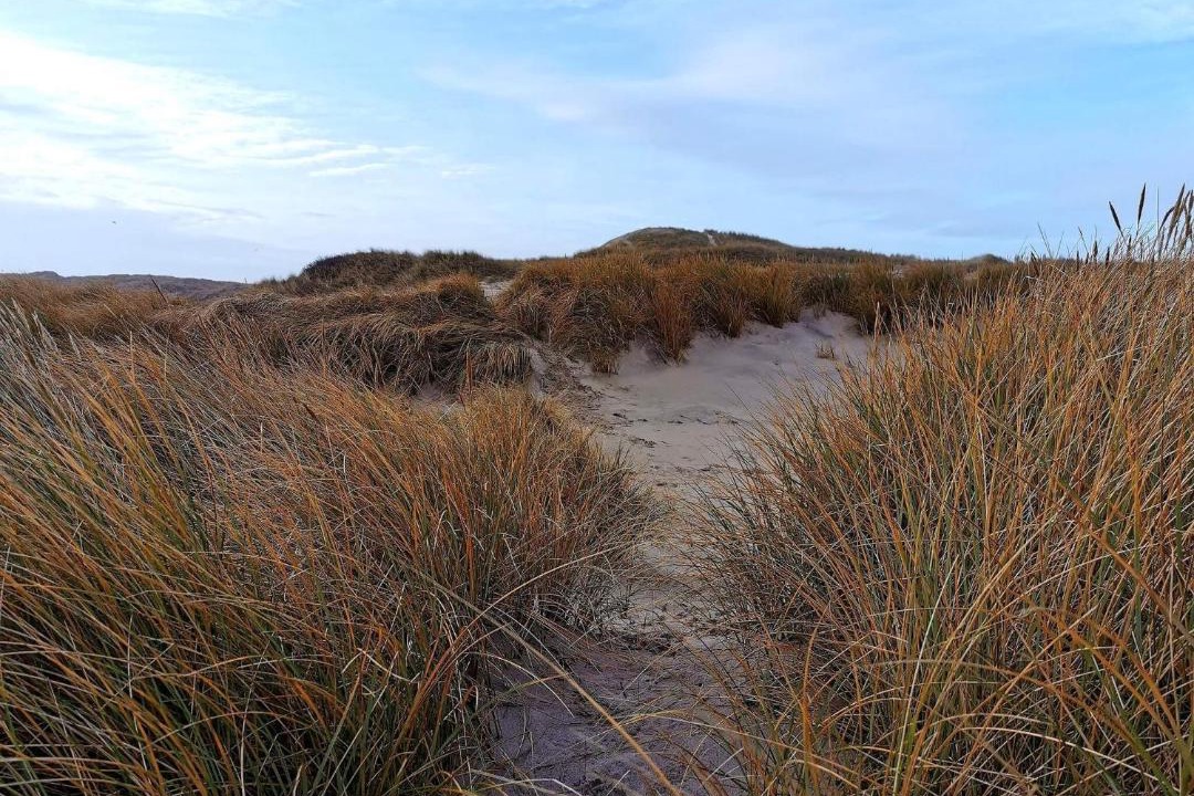 Photo of Others in Klegod Strand