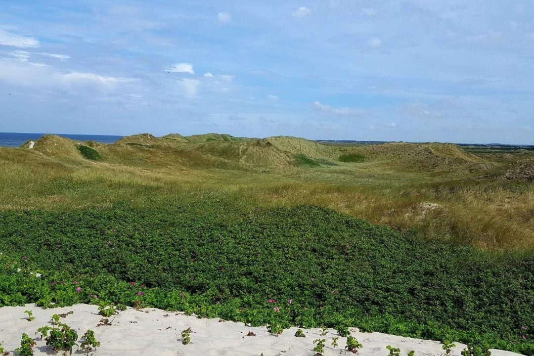 Photo of Others in Klegod Strand
