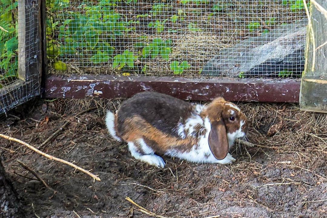 Photo of Others in Gera