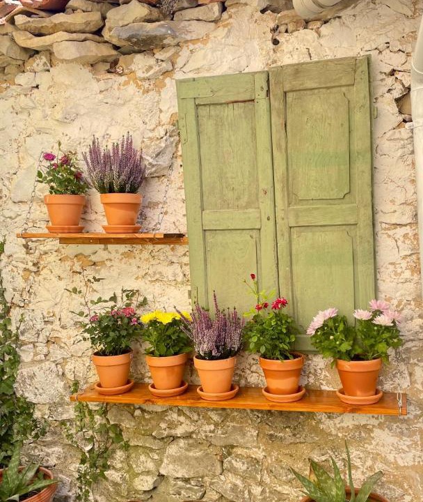 Photo of Others in Vallejo de Sotoscueva
