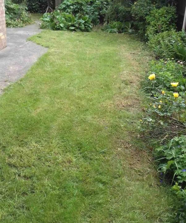 Photo of Outdoor in Sutton-on-Sea