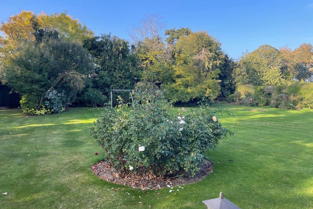 Photo of Others in Bray on Thames