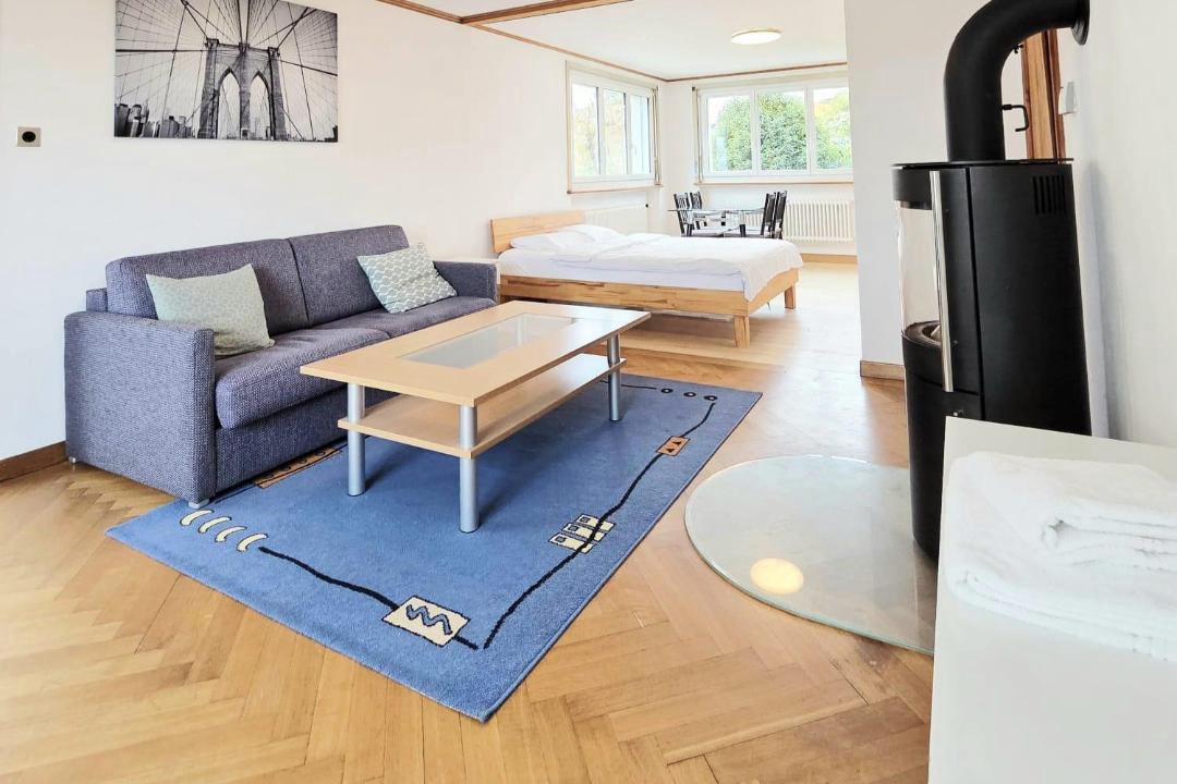 Photo of Livingroom in Beinwil am See