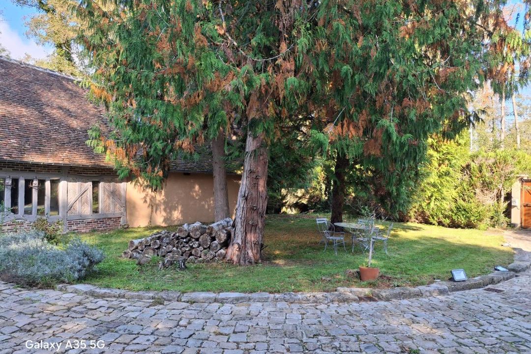 Photo of Others in Verlin