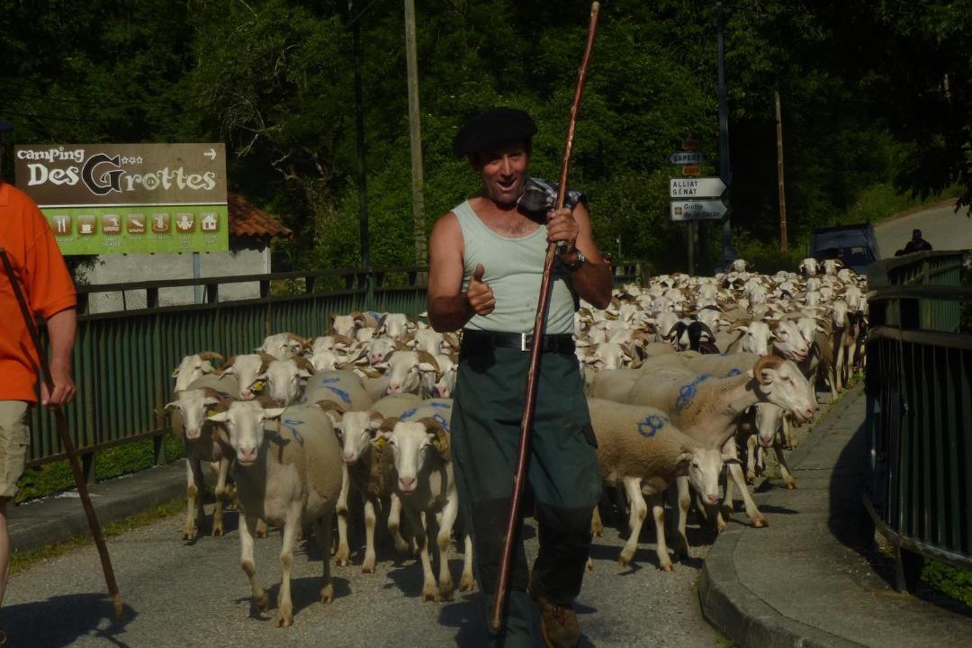 Photo of Others in Niaux