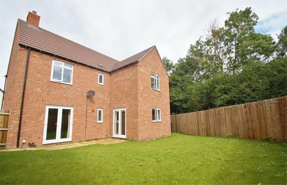 Photo of Others in Rugby