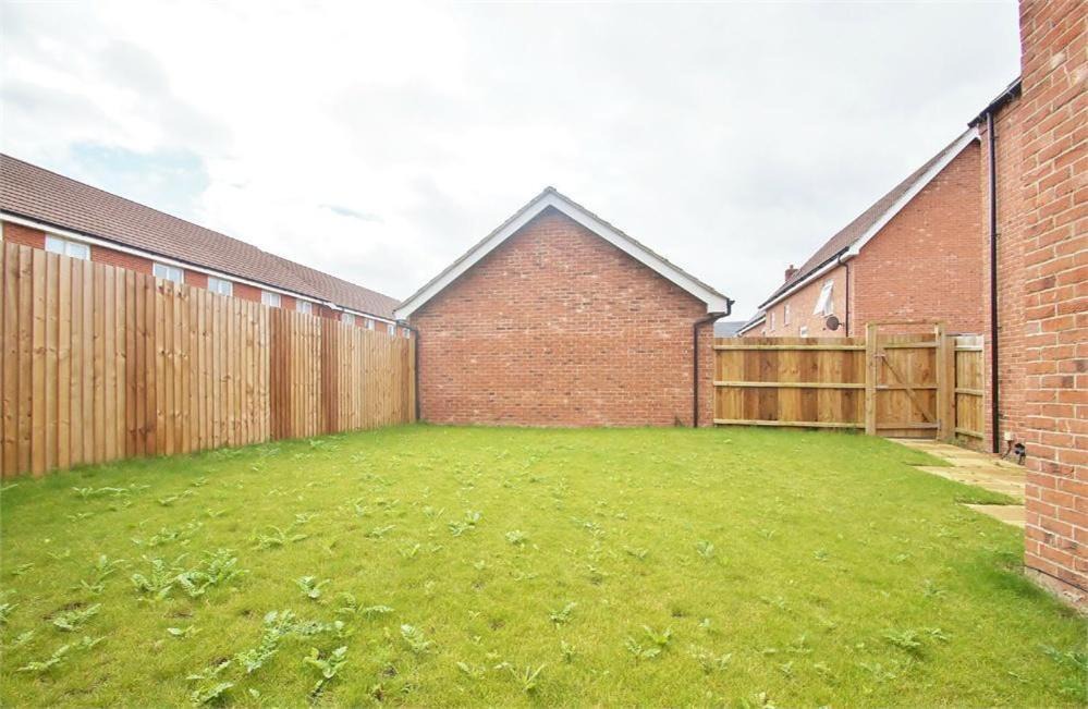 Photo of Others in Rugby