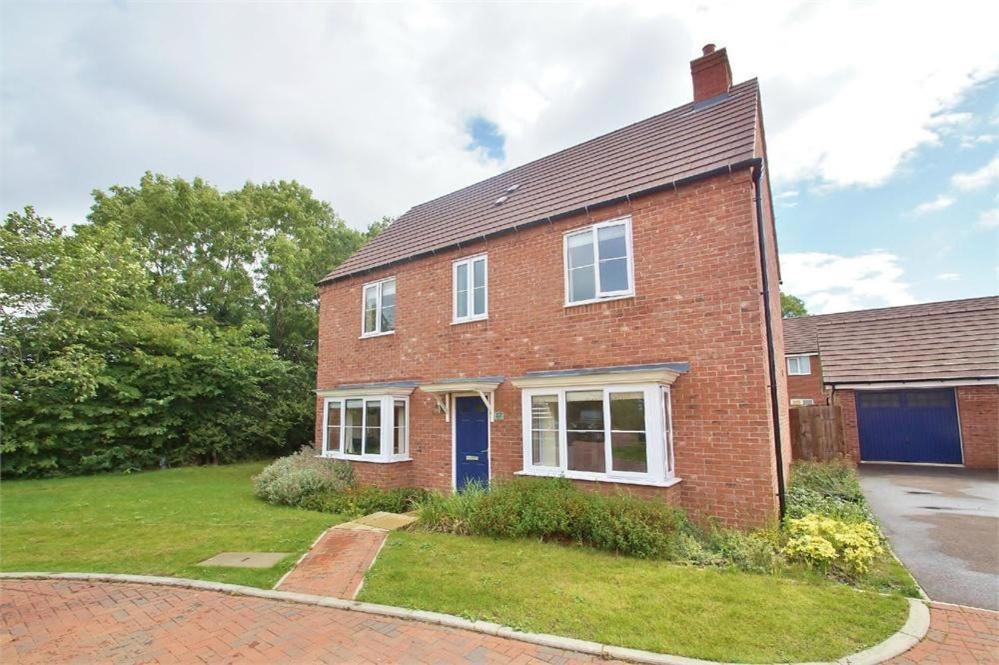 Photo of Others in Rugby