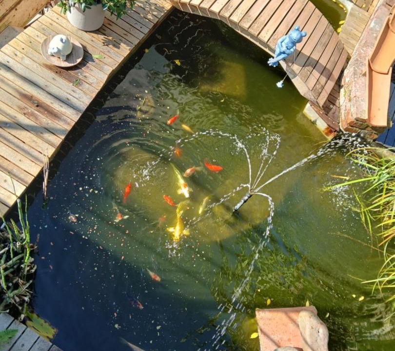 Photo of Others in Mortagne-sur-Sevre