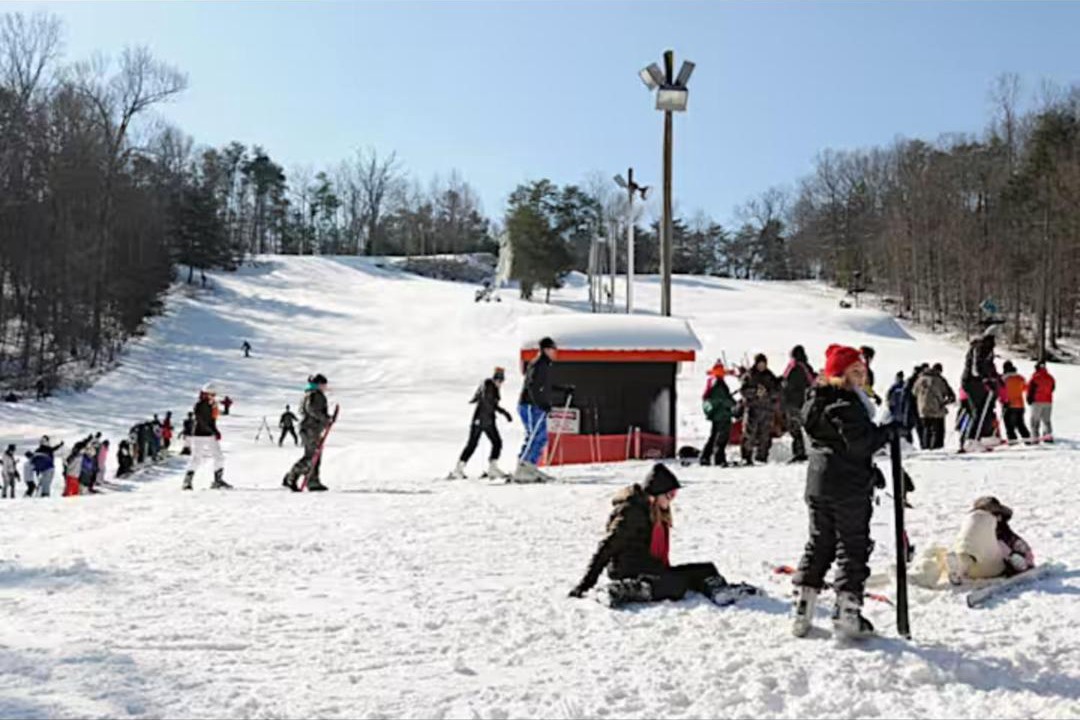 Photo of Others in Mentone