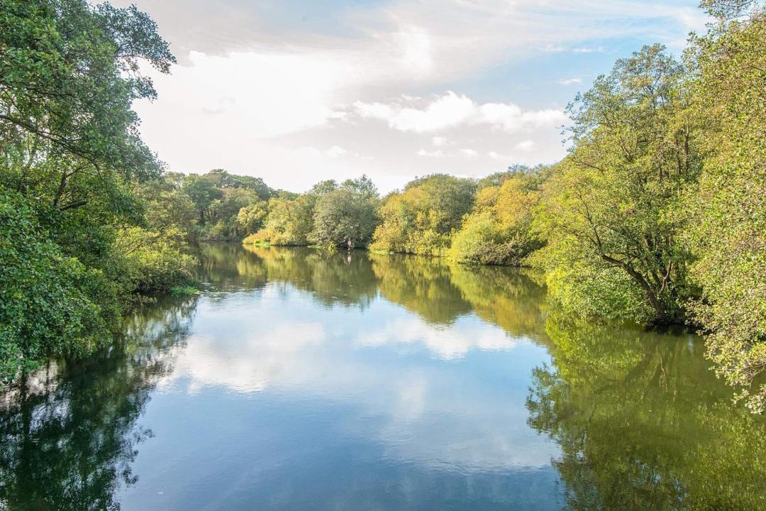 Photo of Others in Ry