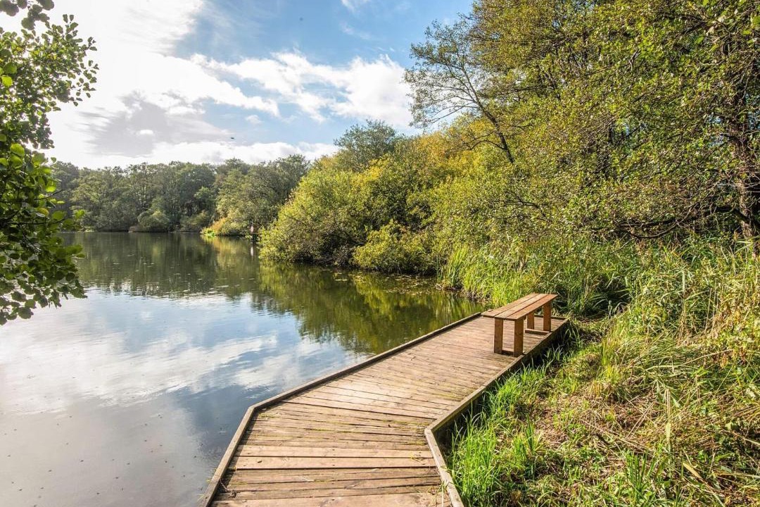 Photo of Others in Ry