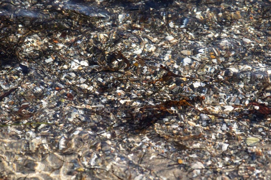 Photo of Others in Grønninghoved Strand