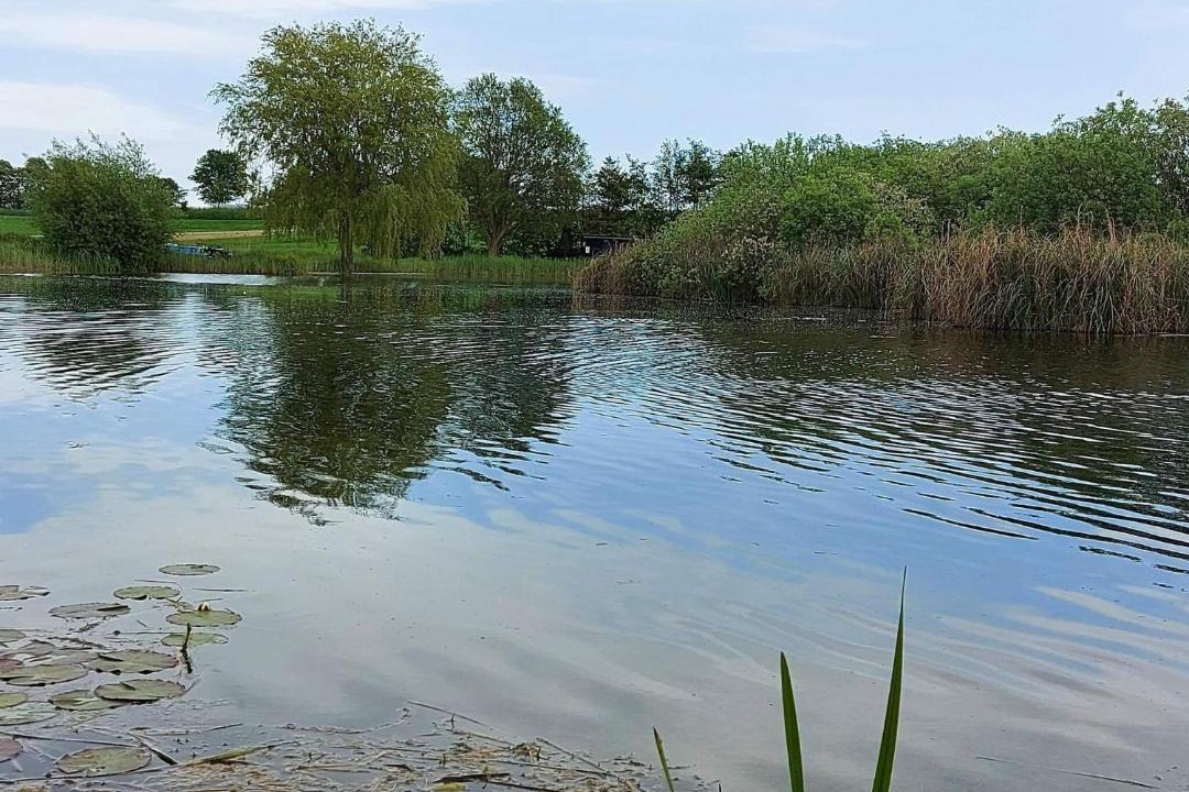 Photo of Others in Østerskov