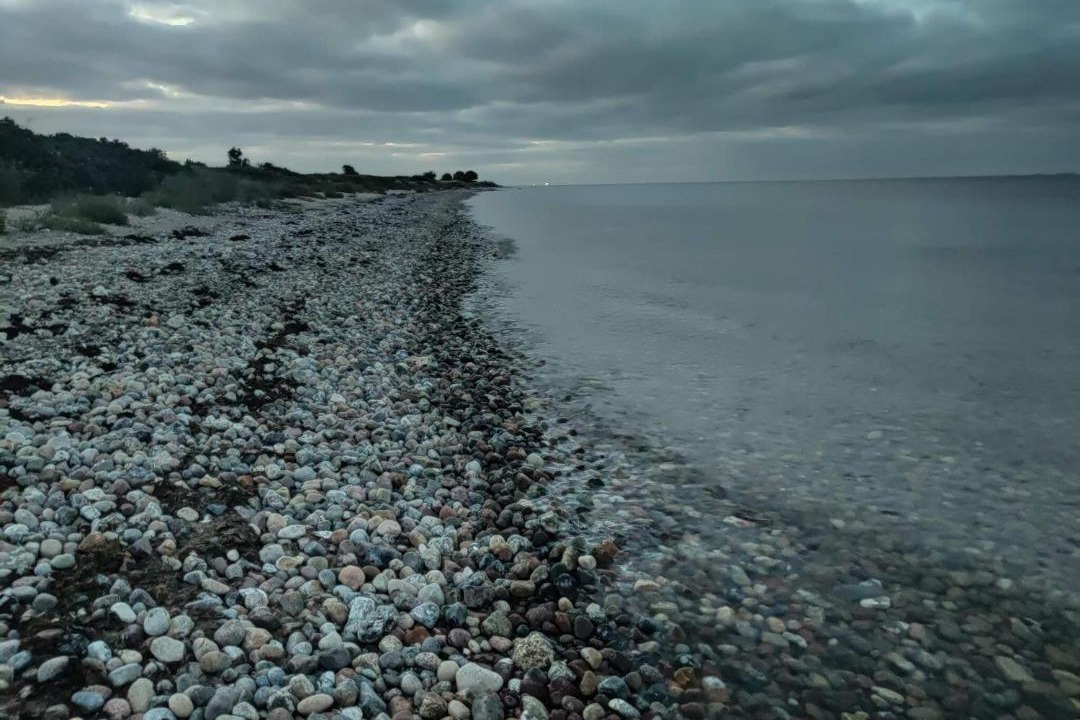 Photo of Others in Østerskov