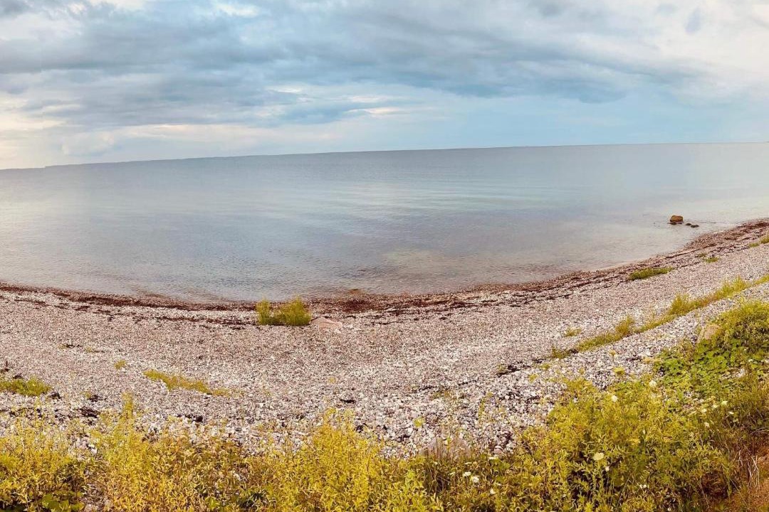 Photo of Others in Østerskov