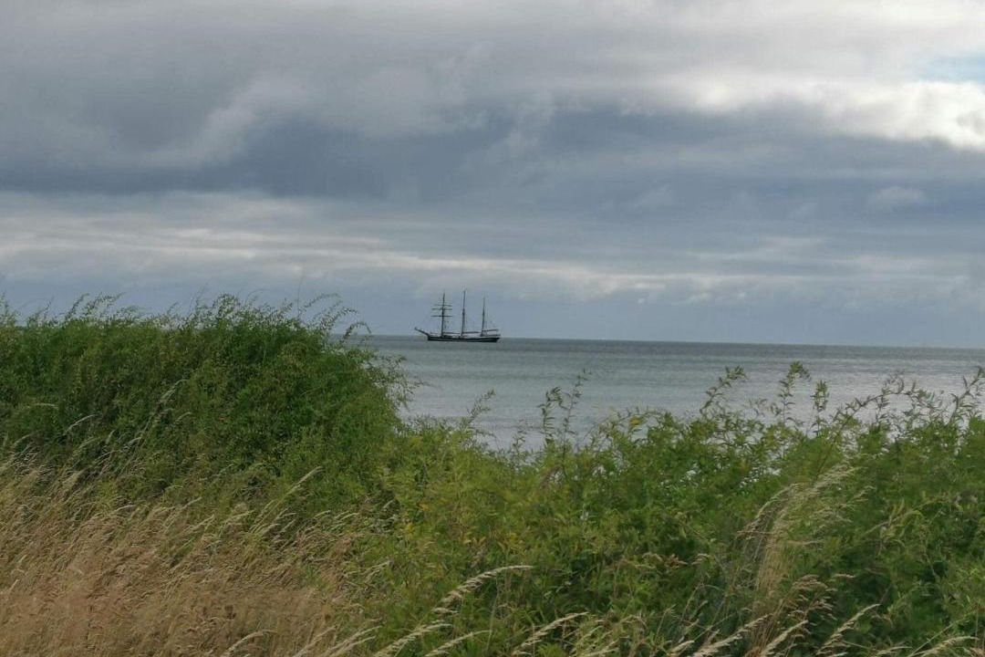 Photo of Others in Østerskov
