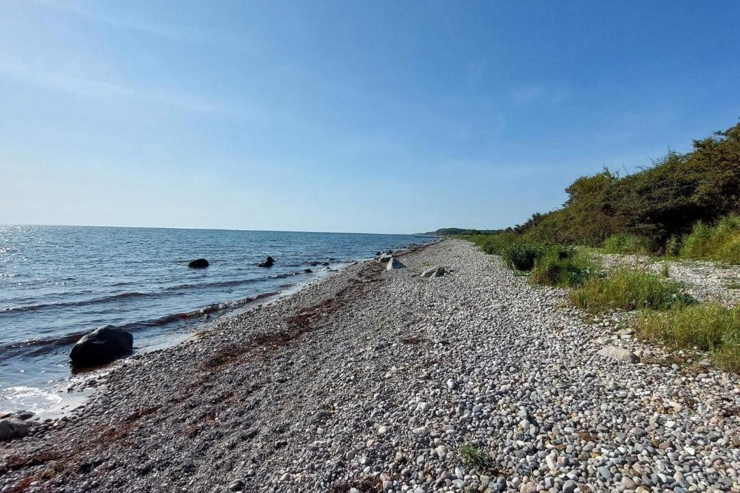 Photo of Others in Østerskov