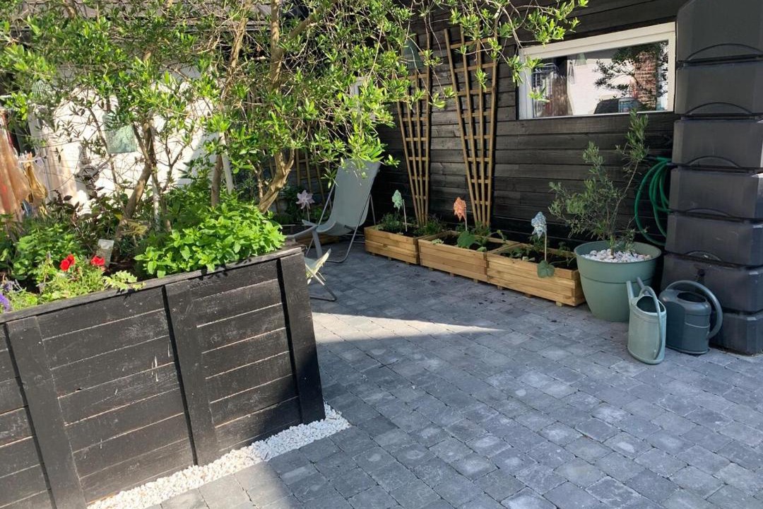 Photo of Others in Ostricourt