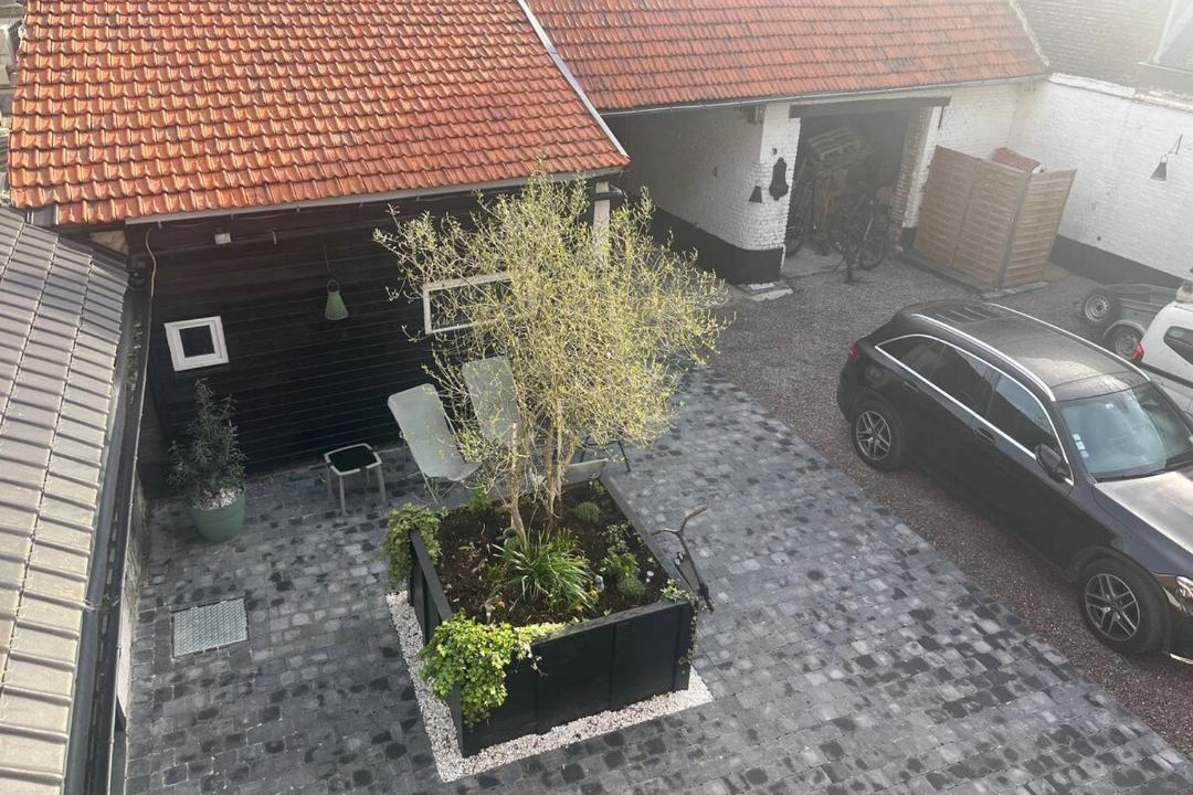 Photo of Others in Ostricourt