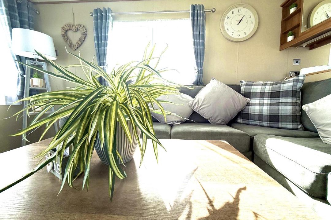 Photo of Others in Cayton Bay