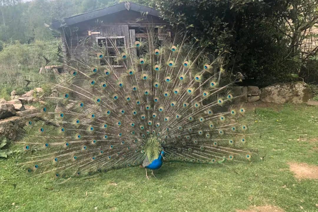 Photo of Others in Saint-Nicolas des Eaux