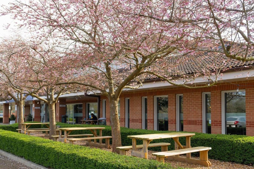 Photo of Others in Milton Keynes