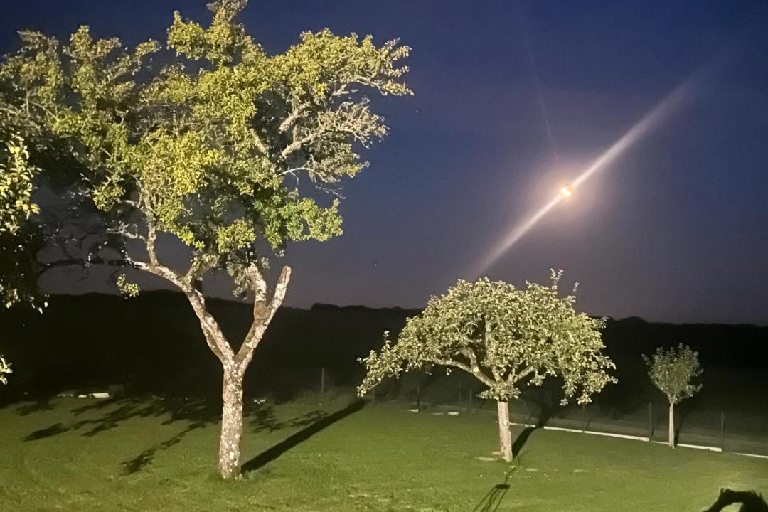 Photo of Others in Morville