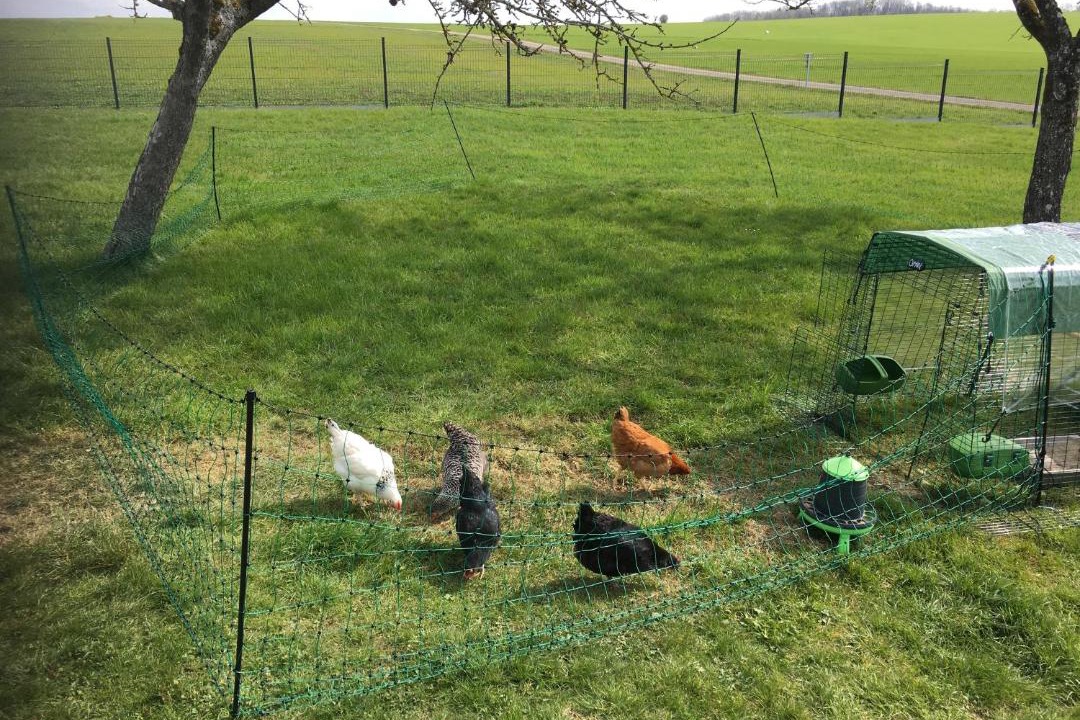 Photo of Others in Morville