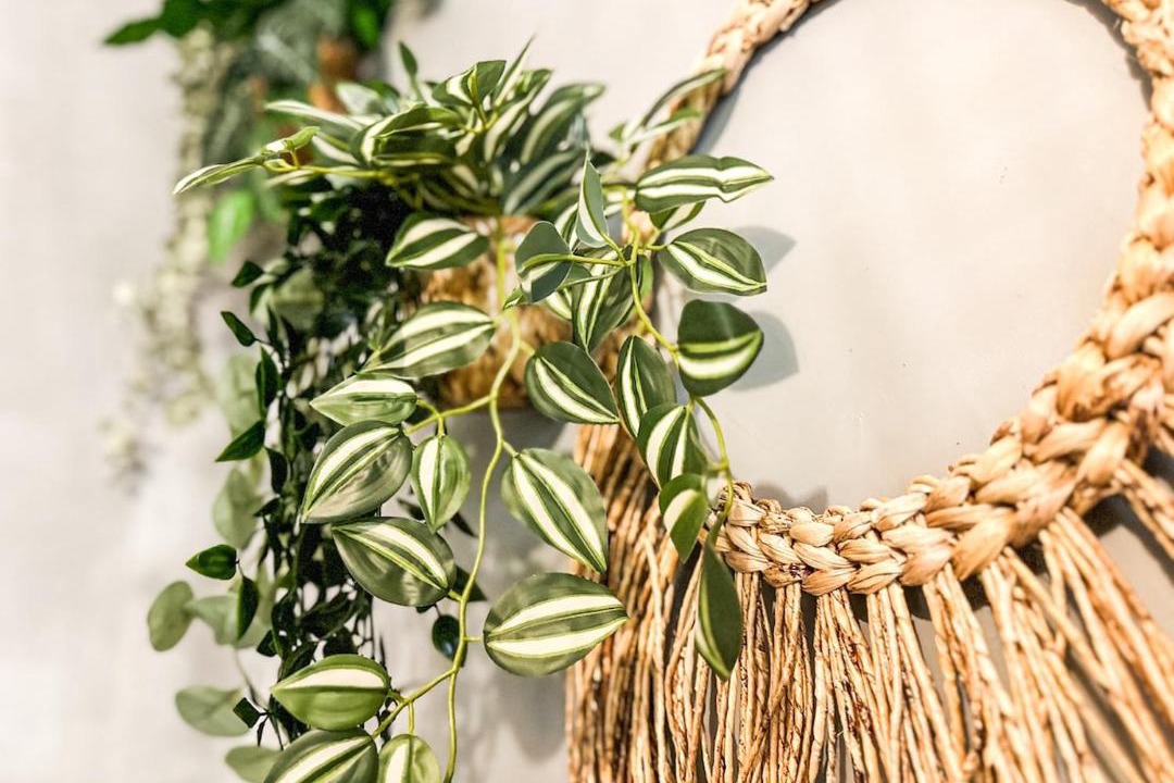 Photo of Others in Saulx-les-Chartreux