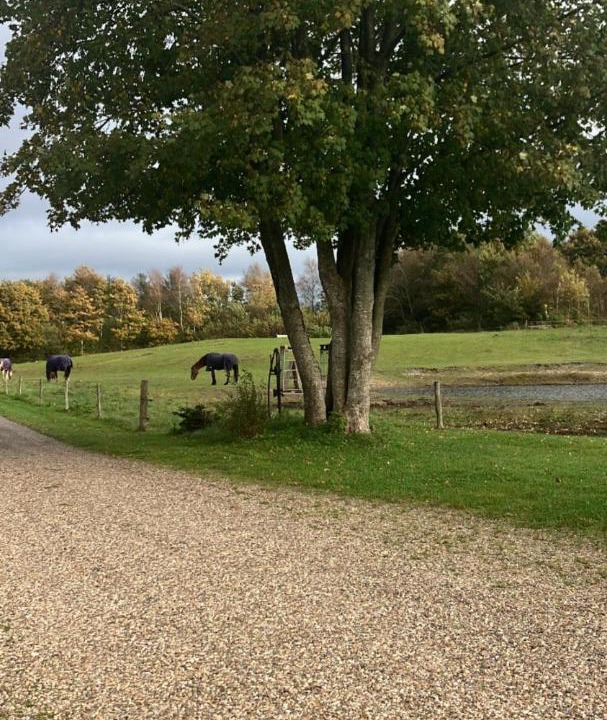 Photo of Others in Sønder Felding