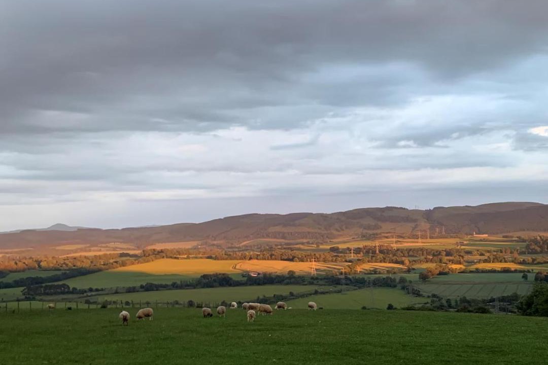 Photo of Others in Perth