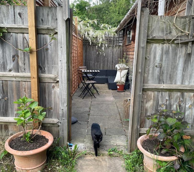 Photo of Others in Ware