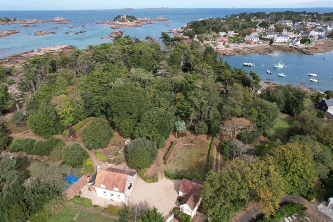 Photo of Others in Tregastel