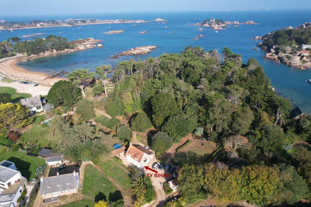 Photo of Others in Tregastel