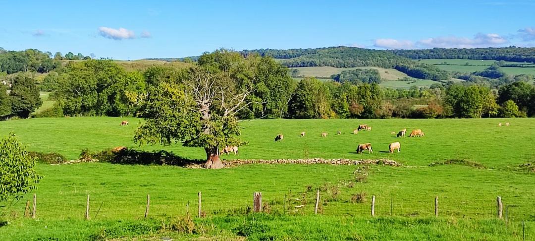 Photo of Others in Semarey