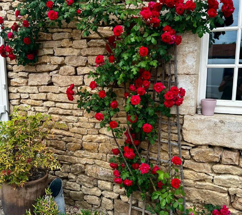 Photo of Others in Semarey